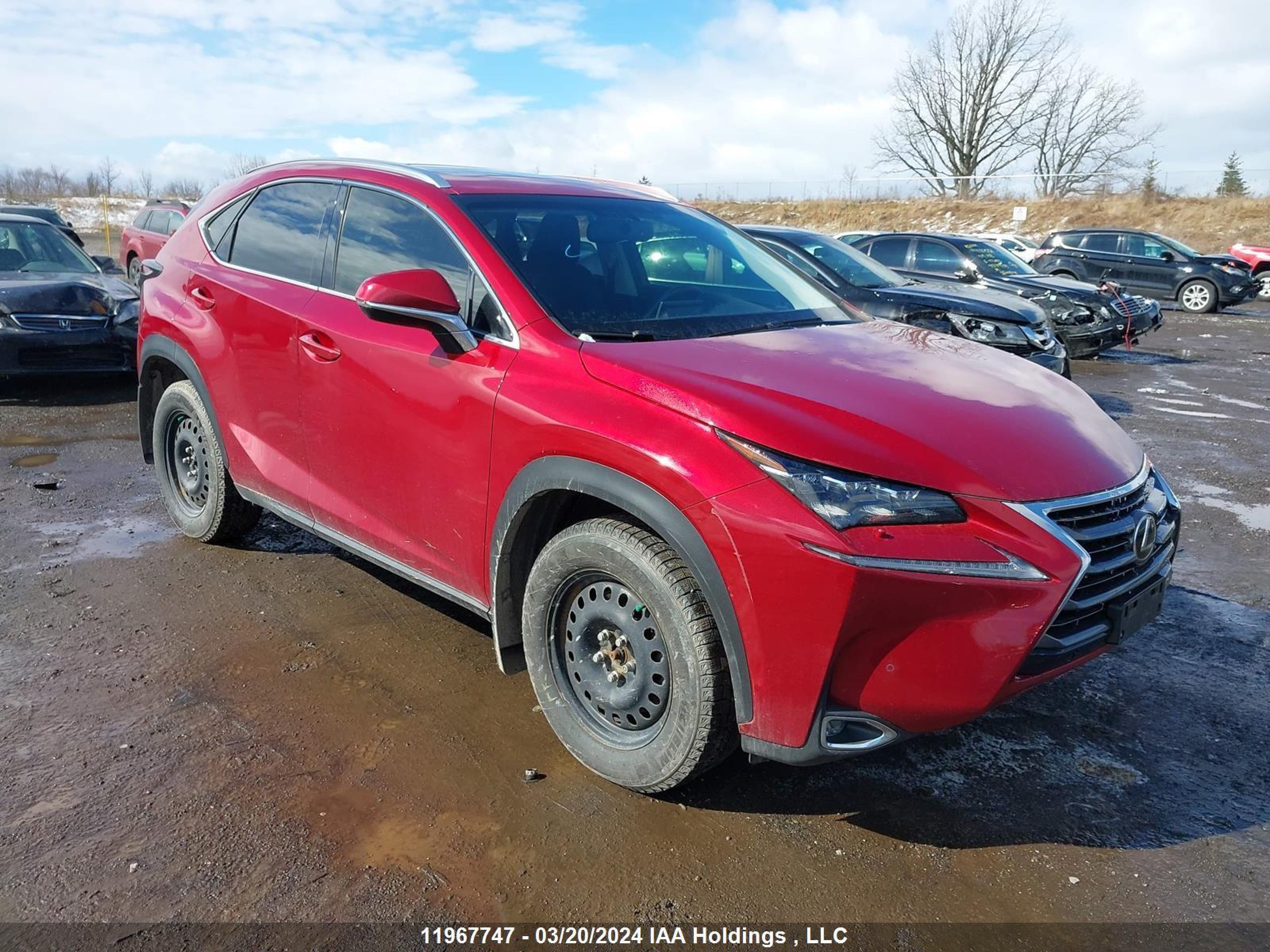 LEXUS NX 2015 jtjbarbz0f2018188