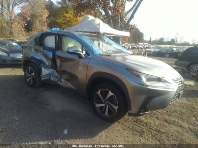 LEXUS NX 300 2018 jtjbarbz0j2160565