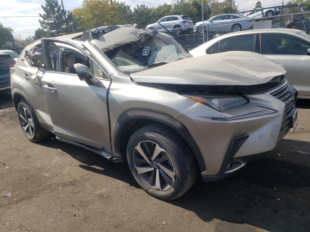 LEXUS NX 300 BAS 2018 jtjbarbz0j2165636