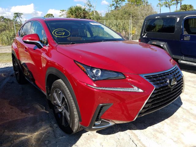 LEXUS NX 300 BAS 2019 jtjbarbz0k2181319