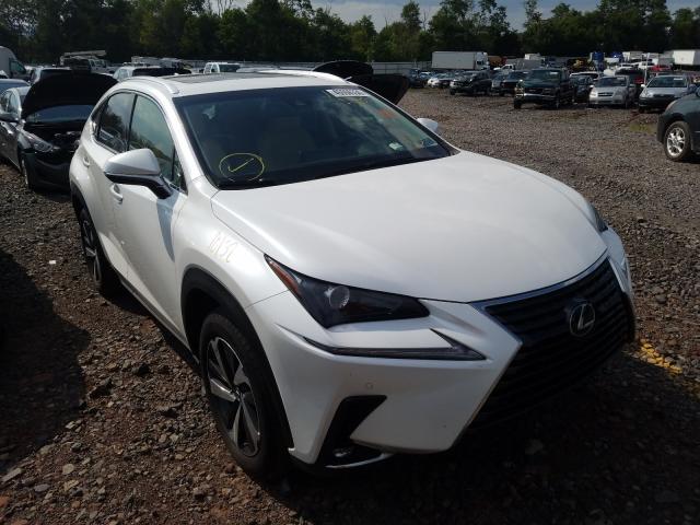 LEXUS NX 300 BAS 2019 jtjbarbz0k2207868