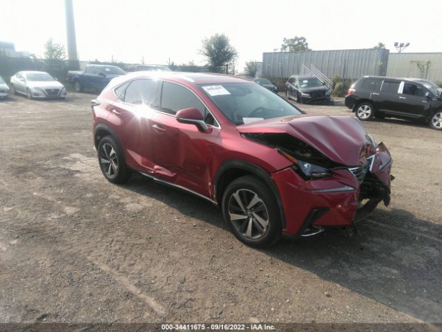 LEXUS NX 2019 jtjbarbz0k2211225