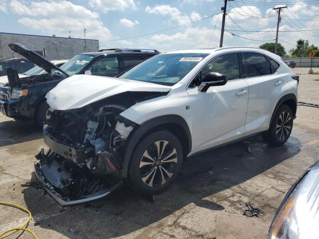 LEXUS NX 2019 jtjbarbz0k2213587