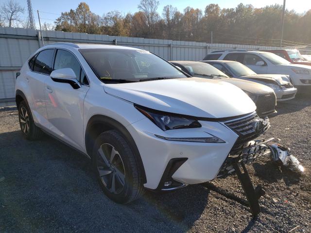 LEXUS NX 300 BAS 2018 jtjbarbz1j2165466