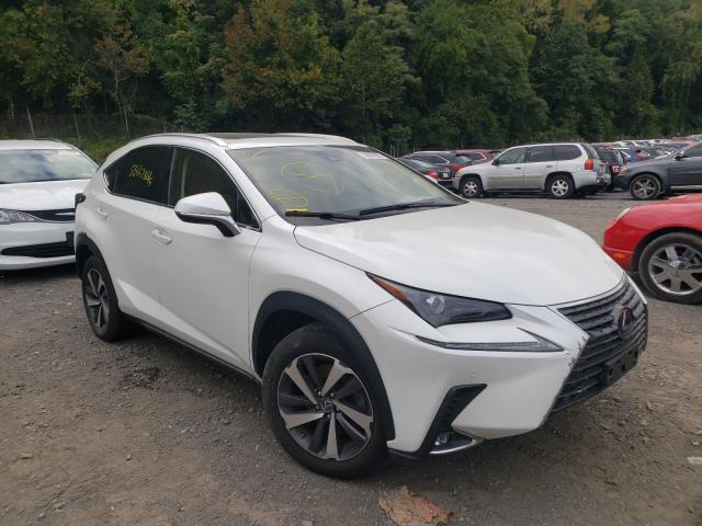 LEXUS NX 300 BAS 2018 jtjbarbz1j2176774