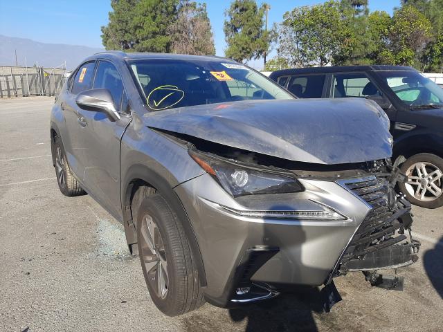 LEXUS NX 300 BAS 2019 jtjbarbz1k2187016