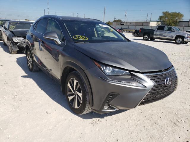 LEXUS NX 2019 jtjbarbz1k2194791