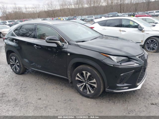 LEXUS NX 300 2019 jtjbarbz1k2195617