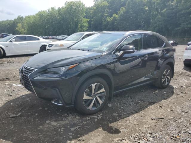 LEXUS NX 300 BAS 2019 jtjbarbz1k2202064