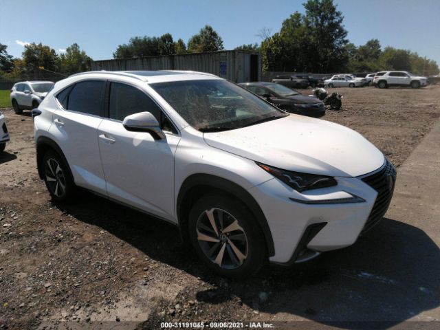 LEXUS NX 2019 jtjbarbz1k2202470