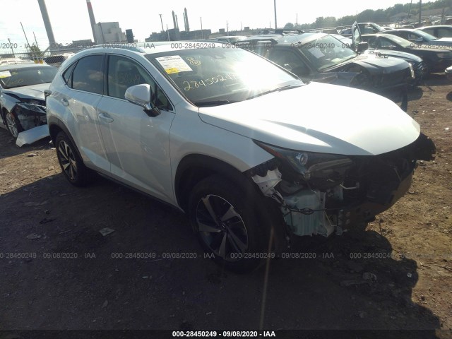 LEXUS NX 2019 jtjbarbz1k2204980