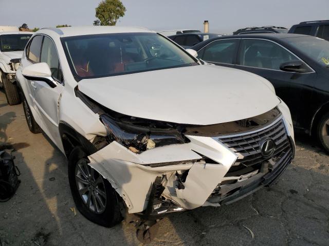 LEXUS NX 300 BAS 2019 jtjbarbz1k2215493