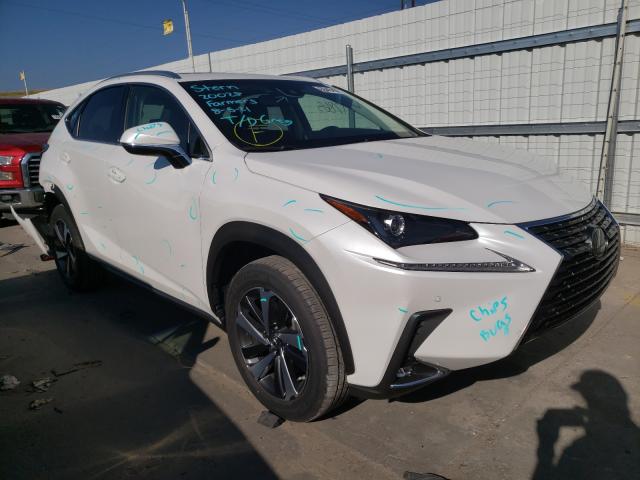 LEXUS NX 300 BAS 2018 jtjbarbz2j2154671