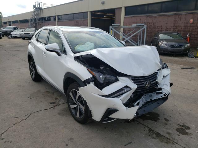 LEXUS NX 300 BAS 2019 jtjbarbz2k2189096