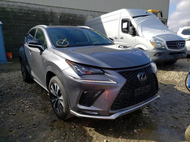 LEXUS NX 300 BAS 2019 jtjbarbz2k2192693