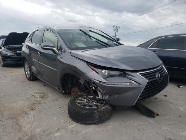 LEXUS NX 300 BAS 2019 jtjbarbz2k2193617