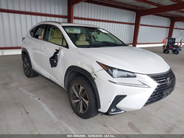 LEXUS NX 300 2019 jtjbarbz2k2202221