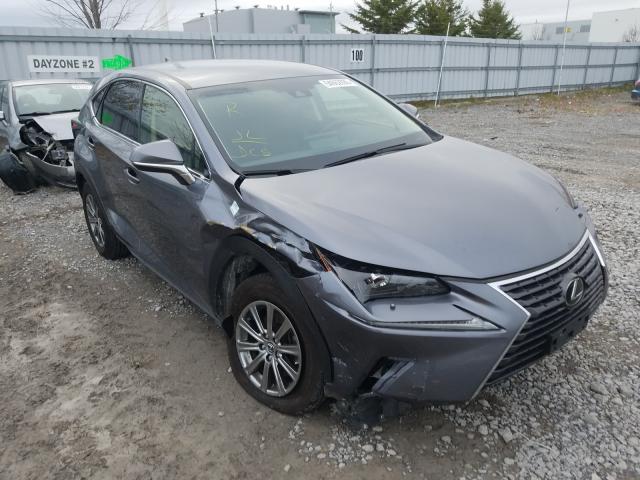 LEXUS NX 2019 jtjbarbz2k2207421