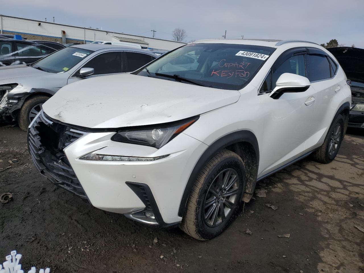 LEXUS NX 2018 jtjbarbz3j2158535