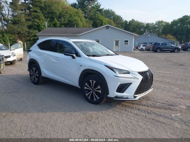 LEXUS NX 2019 jtjbarbz3k2184246