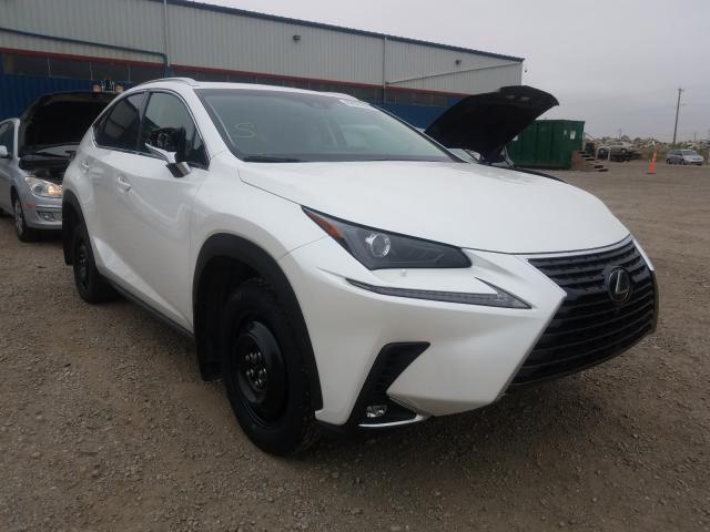 LEXUS NX 300 BAS 2019 jtjbarbz3k2186627