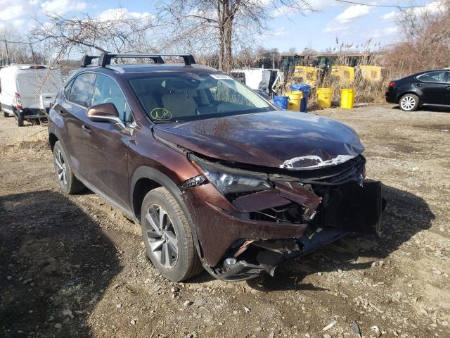 LEXUS NX 300 BAS 2019 jtjbarbz3k2186949