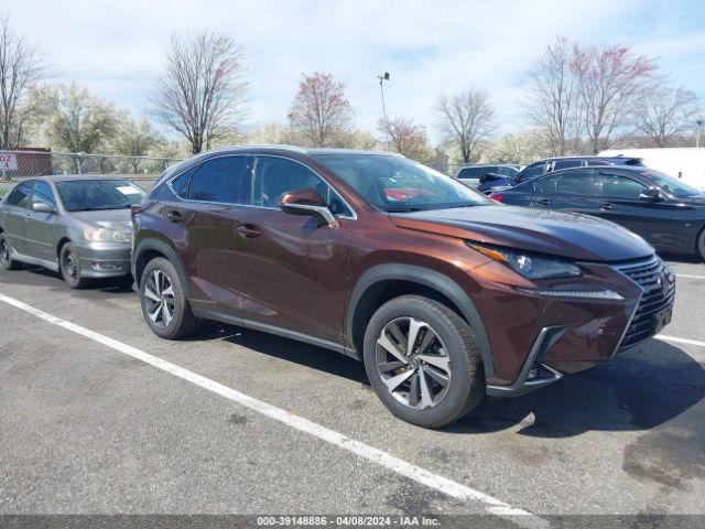 LEXUS NX 300 2019 jtjbarbz3k2187082