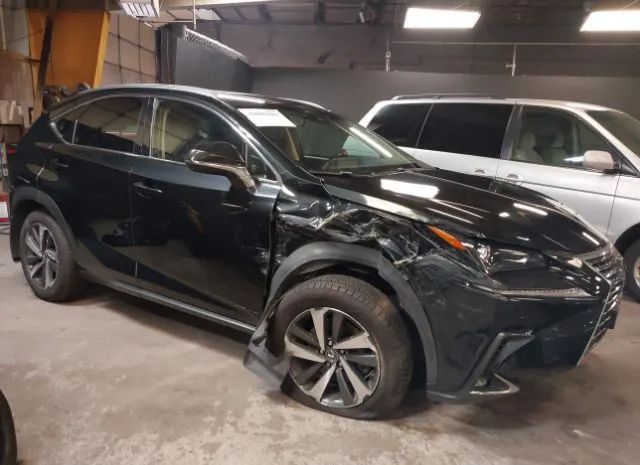 LEXUS NX 2019 jtjbarbz3k2187485