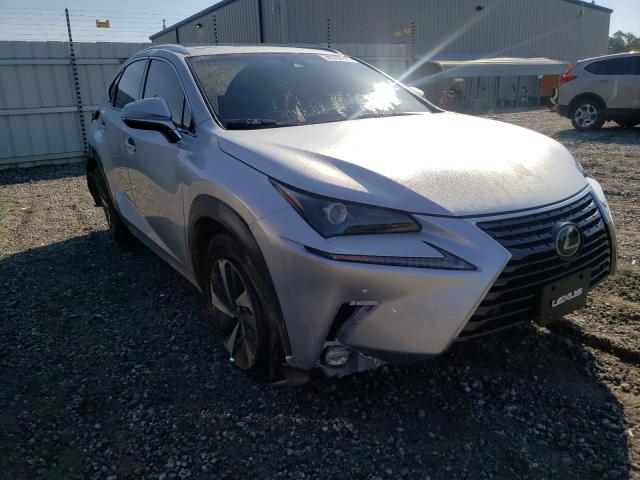 LEXUS NX 300 BAS 2019 jtjbarbz3k2193626