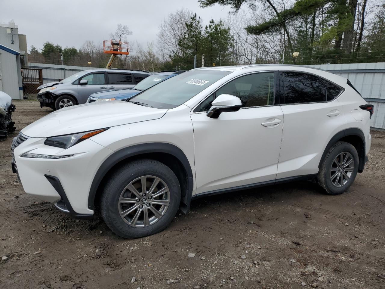 LEXUS NX 2019 jtjbarbz3k2201529