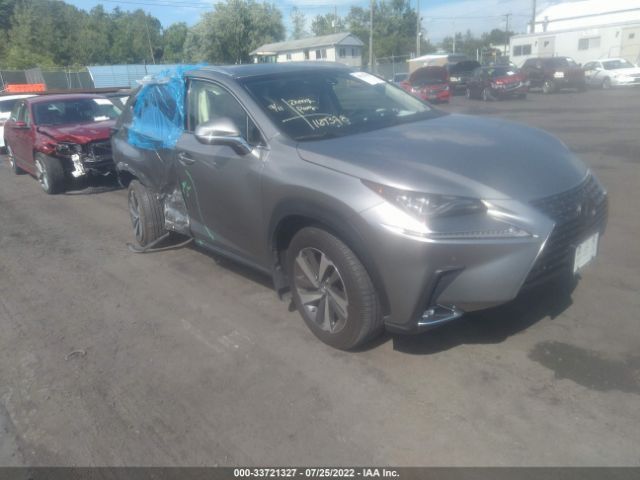 LEXUS NX 2019 jtjbarbz3k2204060