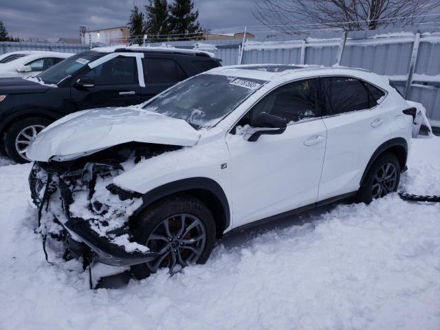 LEXUS NX 300 BAS 2019 jtjbarbz3k2209971