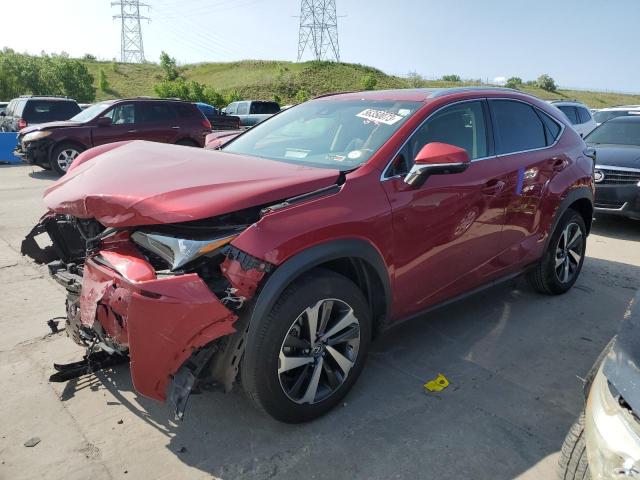 LEXUS NX 300 BAS 2019 jtjbarbz3k2210117