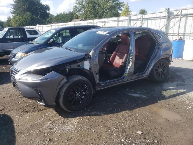 LEXUS NX 300 BAS 2019 jtjbarbz3k2216435