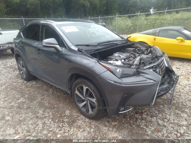 LEXUS NX 2019 jtjbarbz4k2183171