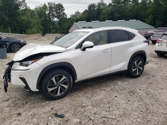 LEXUS NX 300 BAS 2019 jtjbarbz4k2184529