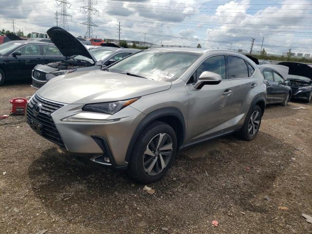 LEXUS NX 300 BAS 2019 jtjbarbz4k2186961