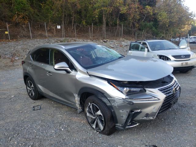 LEXUS NX 300 BAS 2019 jtjbarbz4k2190671