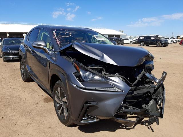 LEXUS NX 300 BAS 2019 jtjbarbz4k2191352