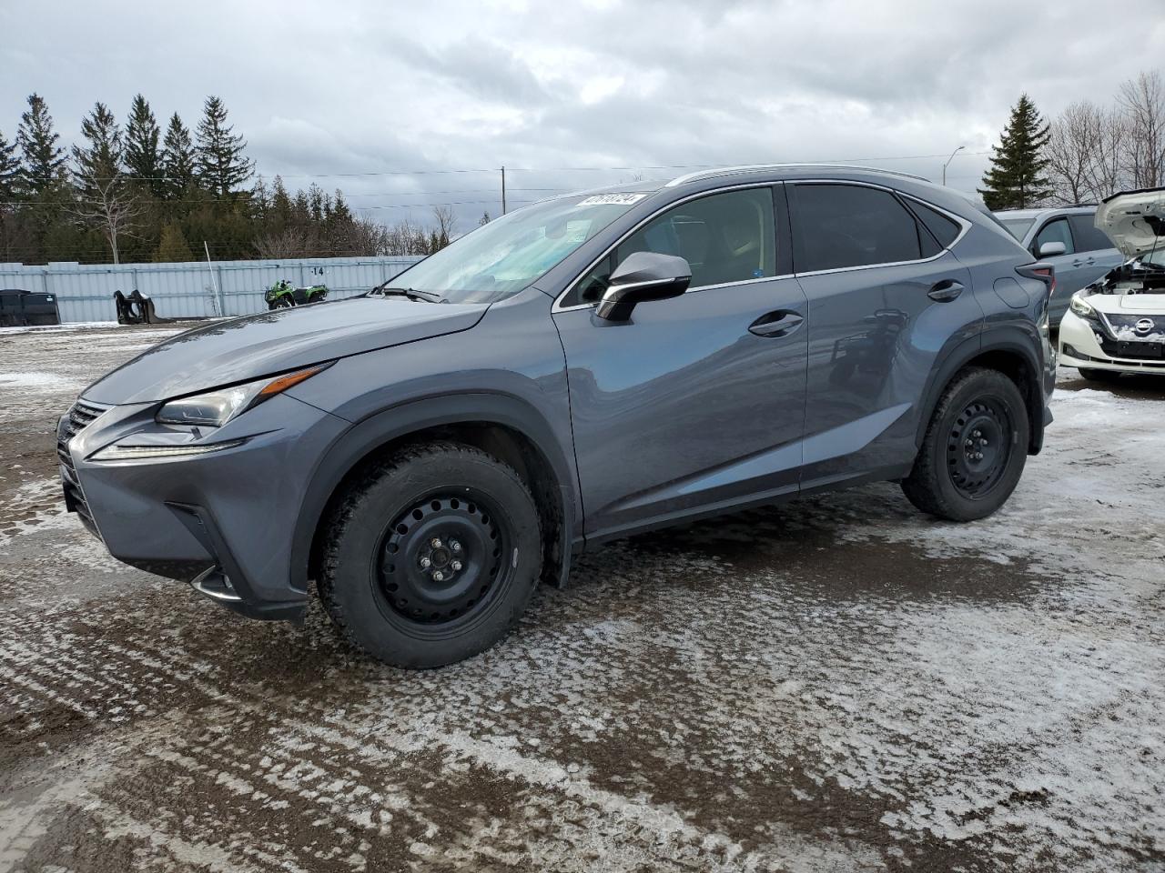 LEXUS NX 2019 jtjbarbz4k2201510