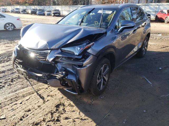 LEXUS NX 300 BAS 2019 jtjbarbz4k2203497