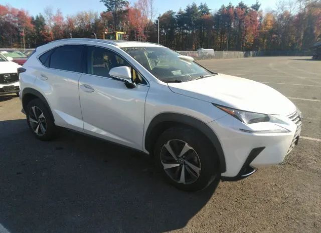 LEXUS NX 2019 jtjbarbz4k2213950