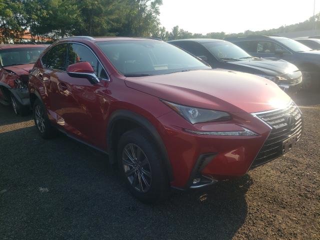 LEXUS NX 300 BAS 2019 jtjbarbz5k2180697