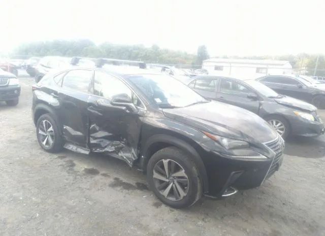 LEXUS NX 2019 jtjbarbz5k2187259