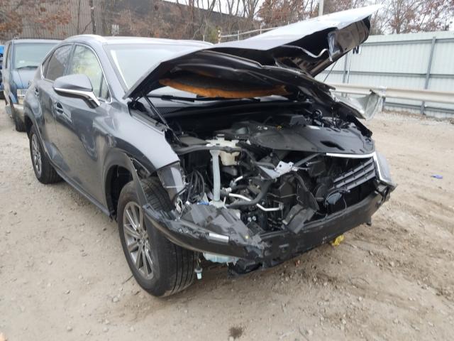 LEXUS NX 300 BAS 2019 jtjbarbz5k2187892