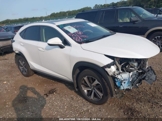 LEXUS NX 2019 jtjbarbz5k2188041