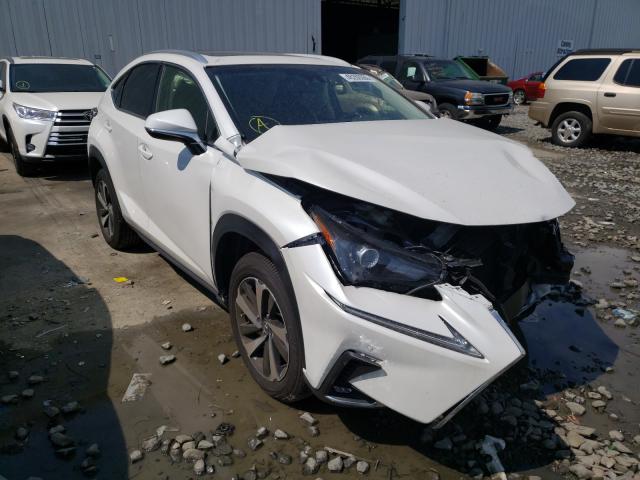 LEXUS NX 300 BAS 2019 jtjbarbz5k2192395