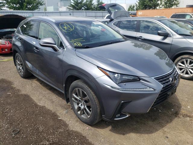 LEXUS NX 300 BAS 2019 jtjbarbz5k2199413