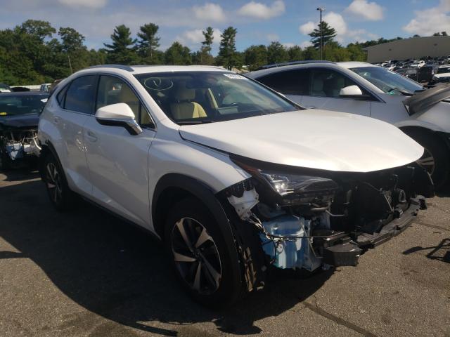 LEXUS NX 300 BAS 2019 jtjbarbz5k2200396