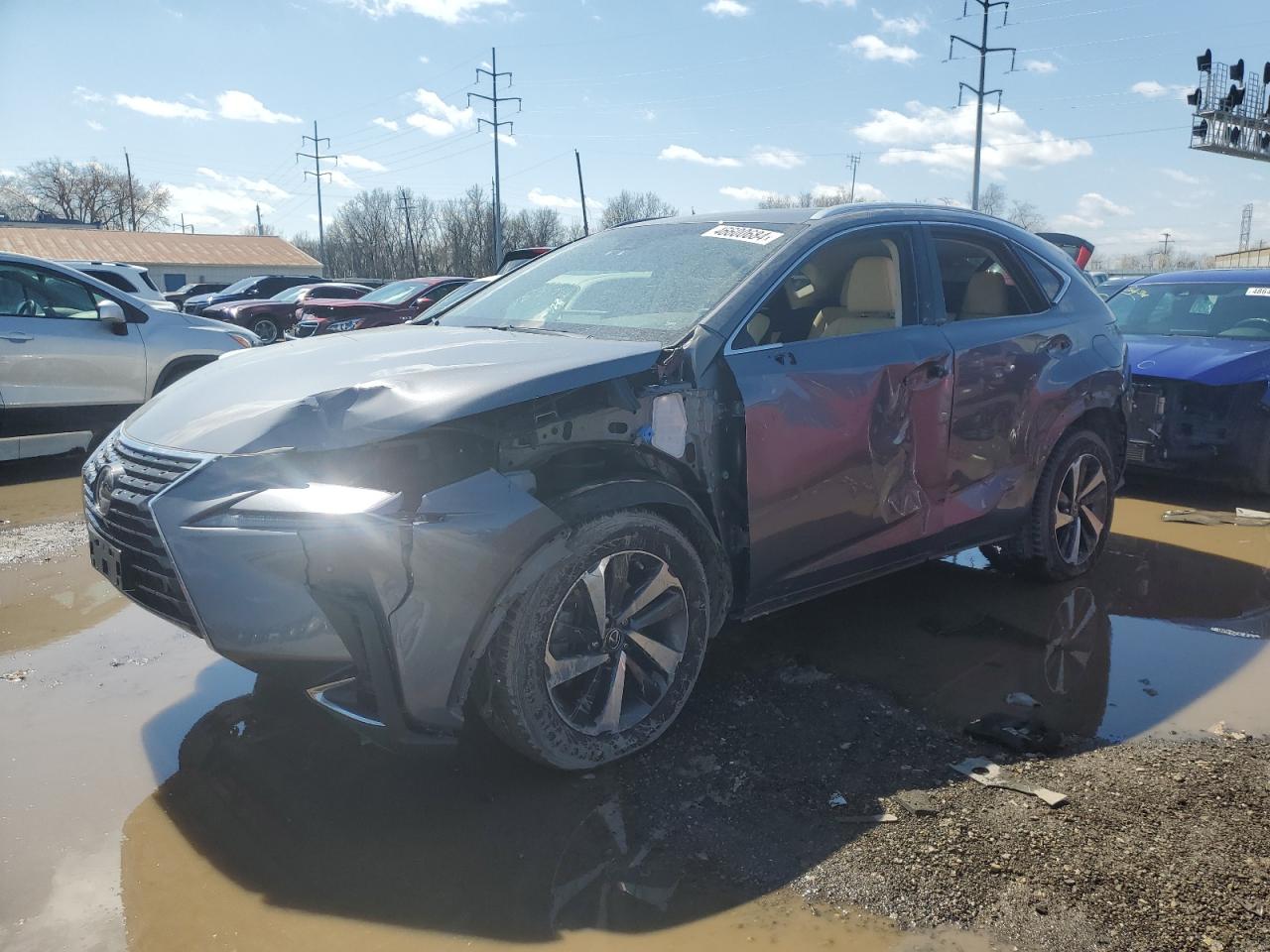 LEXUS NX 2019 jtjbarbz5k2205551